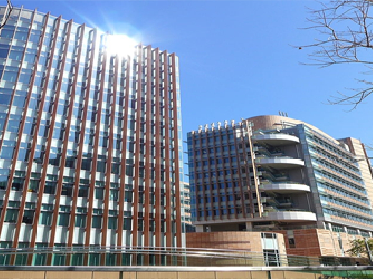 Self Photos / Files - img_1